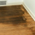 How to Clean Pet Accidents on Hardwood Floors